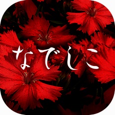 なでしこのロゴ